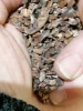 cacao grué nature à infuser